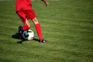 爱游戏体育官网-意甲青训体系中融入情绪调节训练的效果评估，意甲青训体系中融入情绪调节训练的效果评估