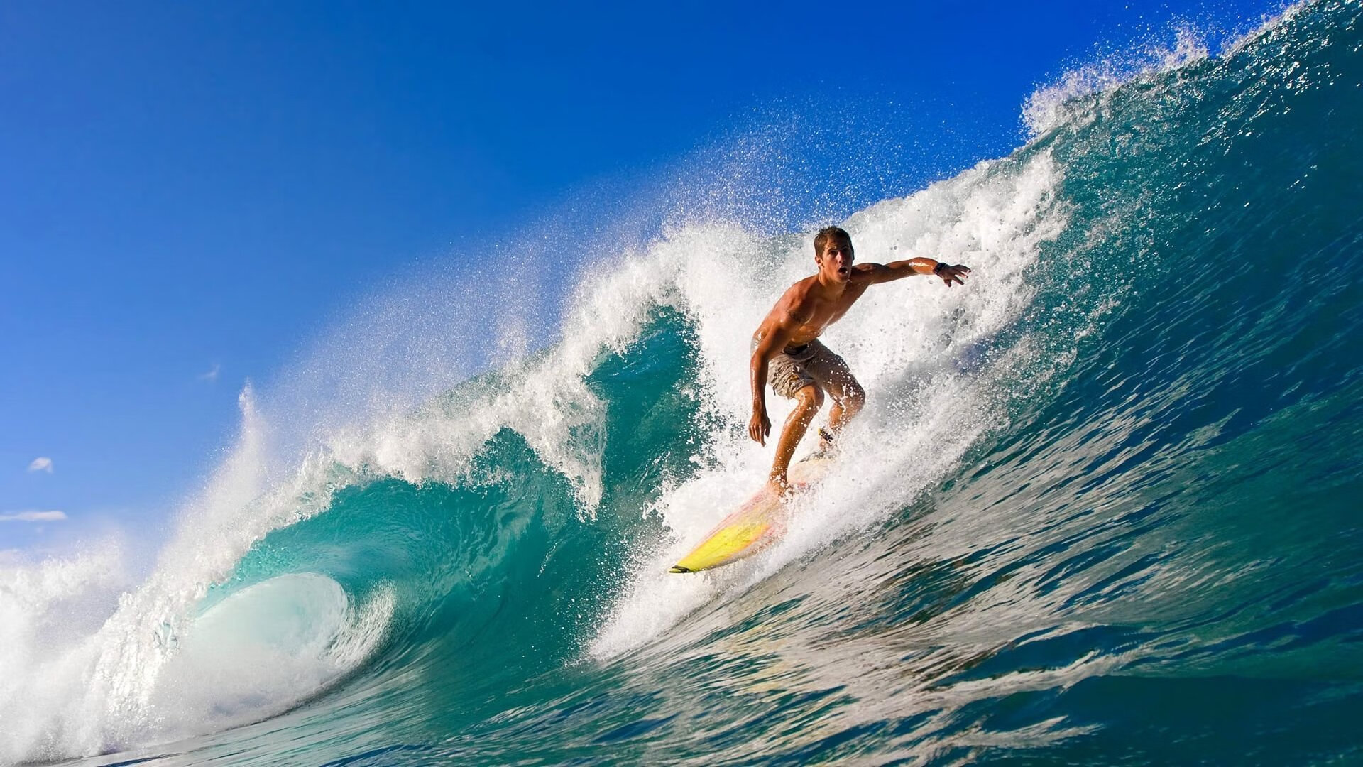 南非橄榄球:在世界赛事上持续崭露头角,南非 橄榄球